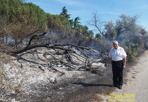 2016 06 27 CHAN-PL Incendie BDD  Paul et ses ex plantations 3870