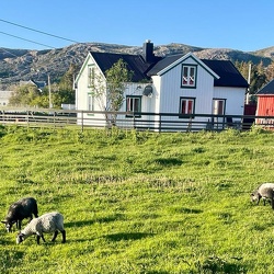 Les_aventures_de_Patrick_GUILLOTIN_dans_le_grand_nord