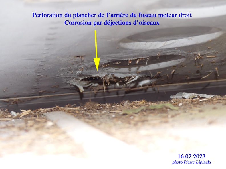 2023 02 16 CHAN-PL ATL31 Nettoyage des nids d'oiseaux Fuseau moteur Droit Oiseaux et Corrosion P1250358  - Copie.jpg