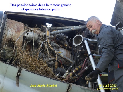 2023 04 20 CHAN-PL P1000142 Des pensionnaires dans le moteur gauche - Paille - JM Rinckel
