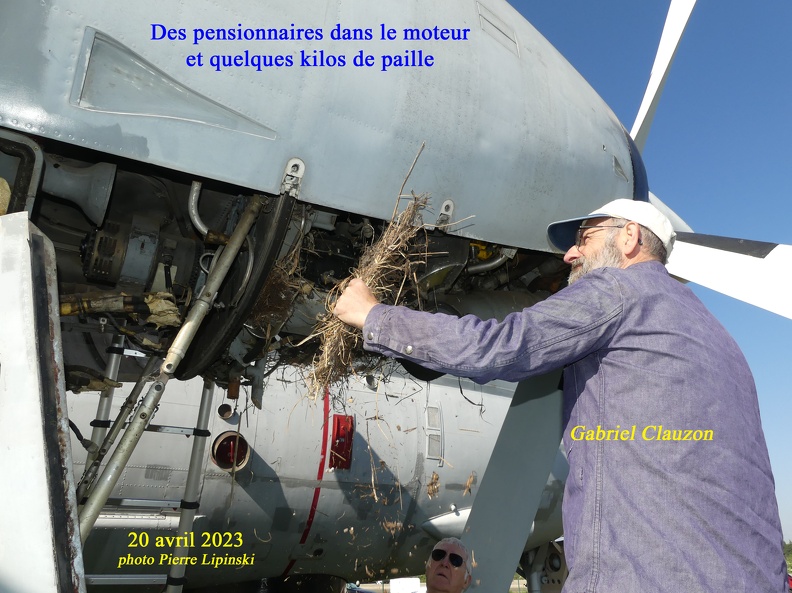 2023 04 20 CHAN-PL P1000148 Des pensionnaires dans le moteur gauche - Paille - G.Clauzon.jpg